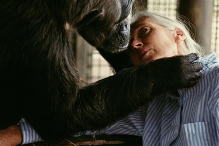 Jane Goodall leaning beside La Vieille, the chimp. (National Geographic (Nick Nichols))